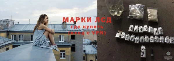 дживик Богородицк