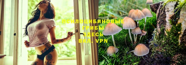 каннабис Баксан
