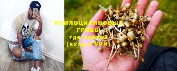 спиды Армянск