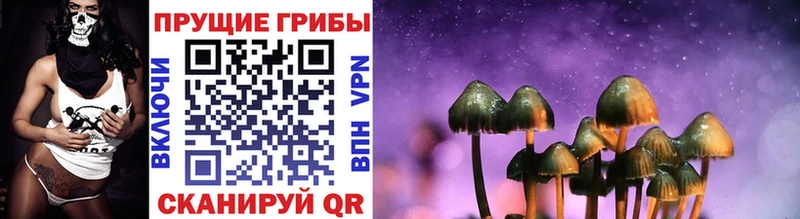 Псилоцибиновые грибы Cubensis  закладки  Учалы 